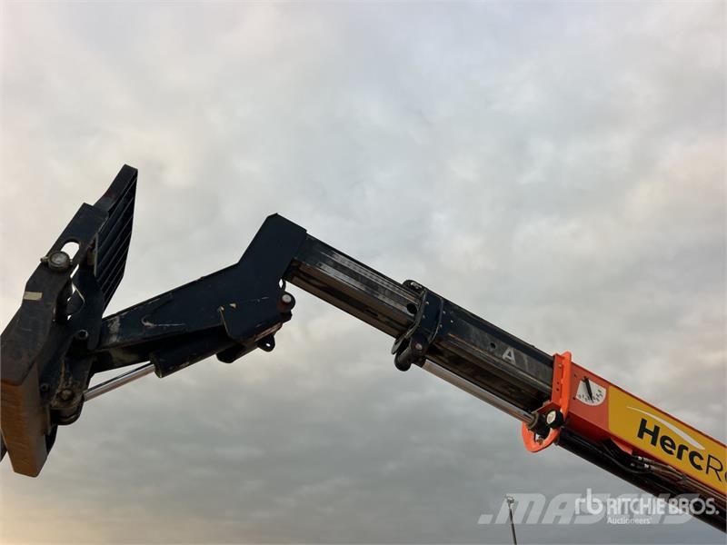 SkyTrak 6036 Telehandler Teleskopski viličarji