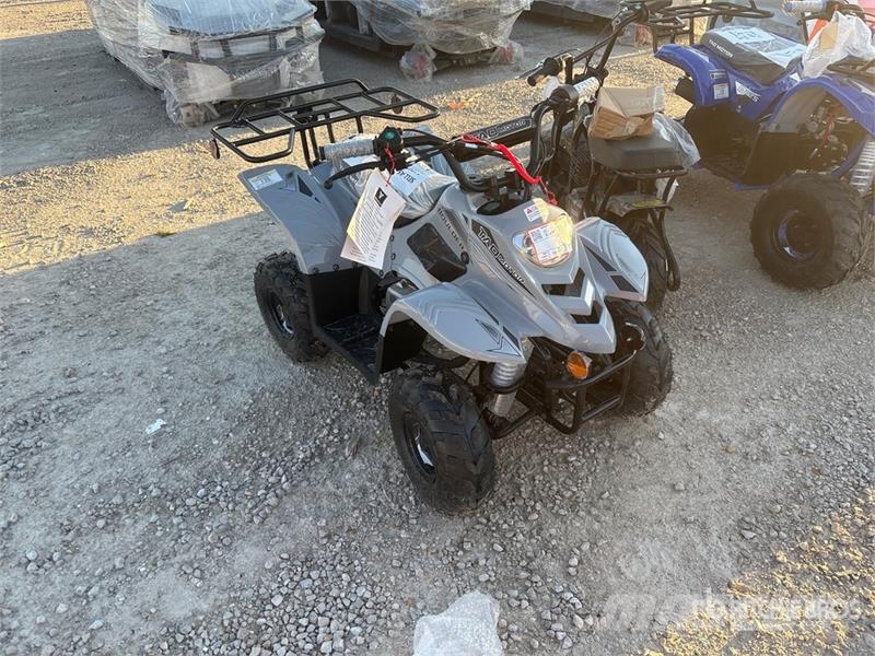  Tao Boulder B110S 4x2 ATV مركبات لجميع التضاريس