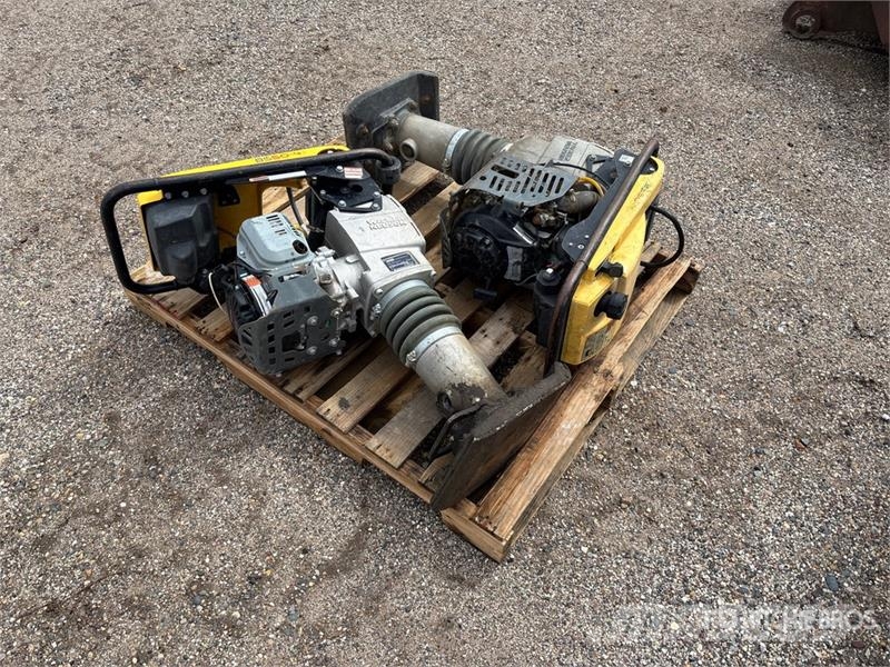 Wacker Neuson of (2) Wacker Neuson Jumping Jack Tamper ِدَكات
