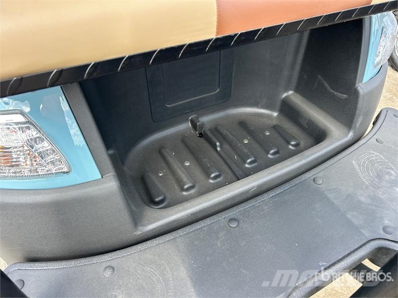 Axis EV Electric Golf Cart (Unused) Golfwagen/Golfcart