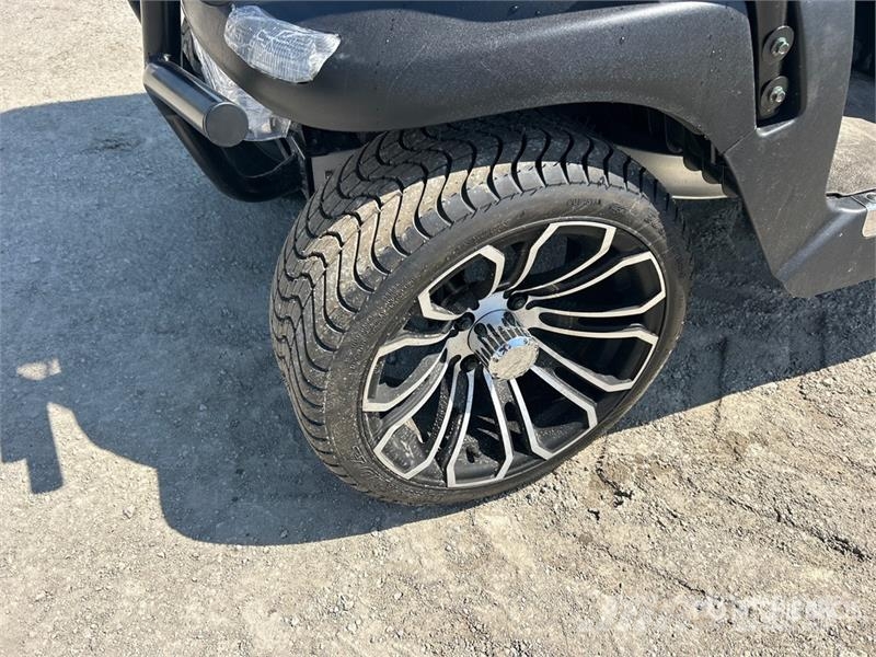 Axis EV Electric Golf Cart Golfwagen/Golfcart