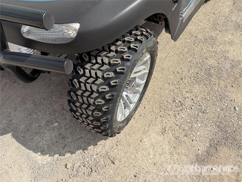 Axis EV Electric Golf Cart (Unused) Гольф-мобілі