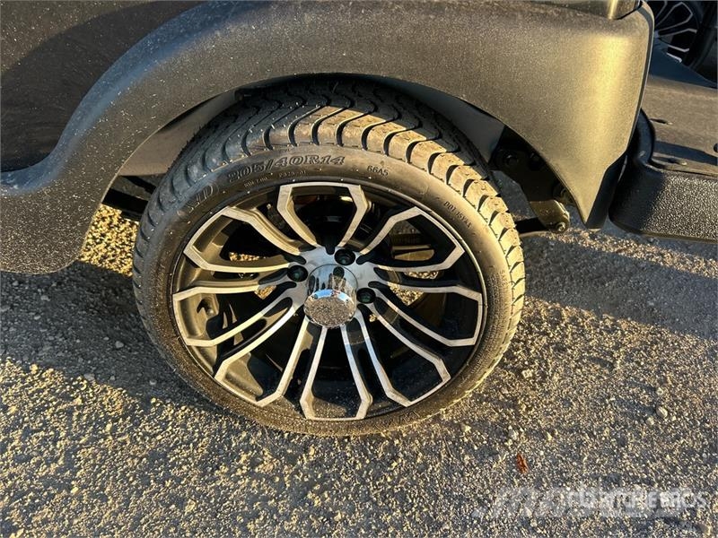 Axis EV Electric Golf Cart 高尔夫球车
