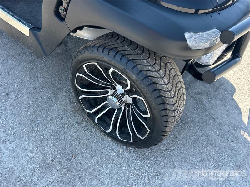 Axis EV Electric Golf Cart Golfwagen/Golfcart