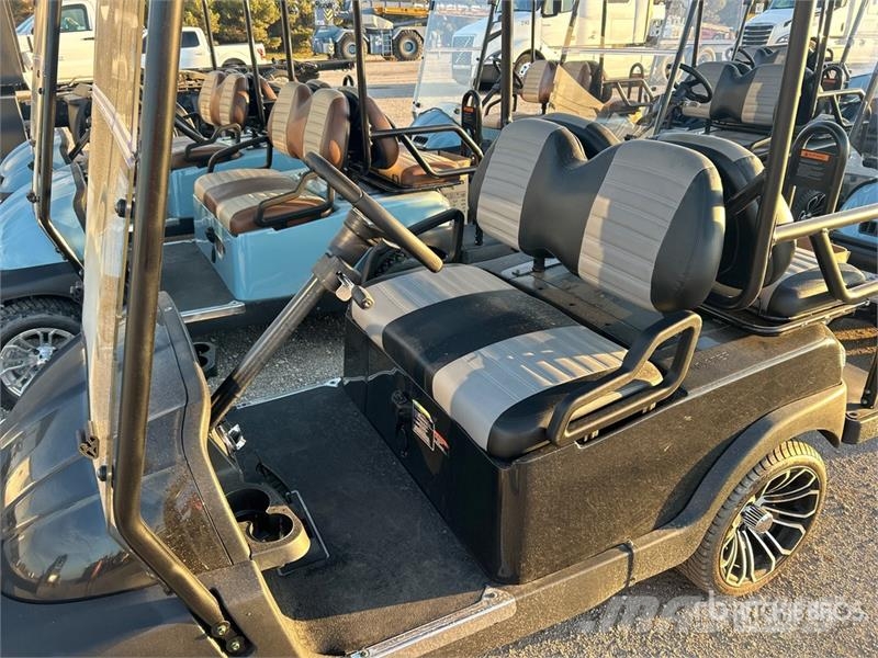 Axis EV Electric Golf Cart 高尔夫球车