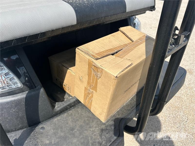 Axis EV Electric Golf Cart (Unused) Гольф-мобілі
