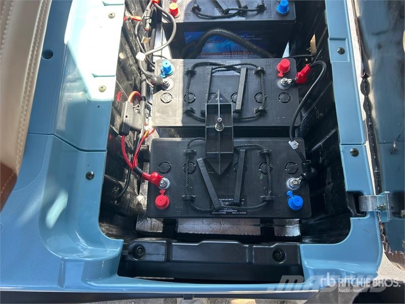 Axis EV Electric Golf Cart (Unused) Гольф-мобілі