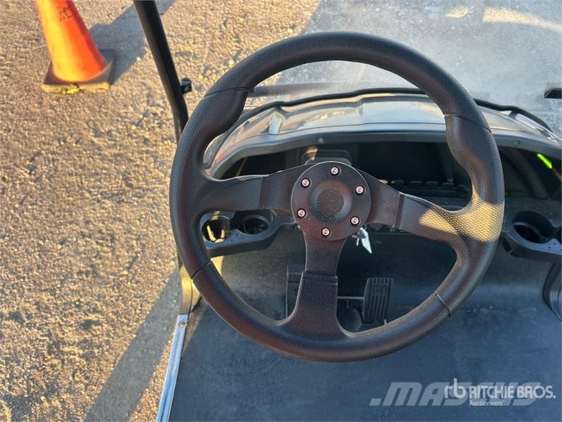 Axis EV Electric Golf Cart 高尔夫球车