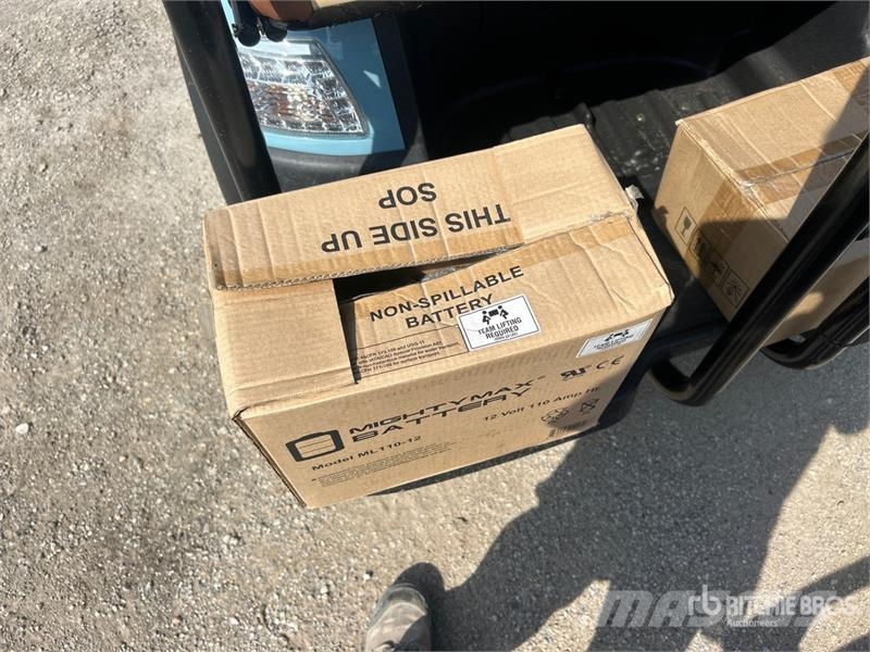 Axis EV Electric Golf Cart (Unused) Гольф-мобілі
