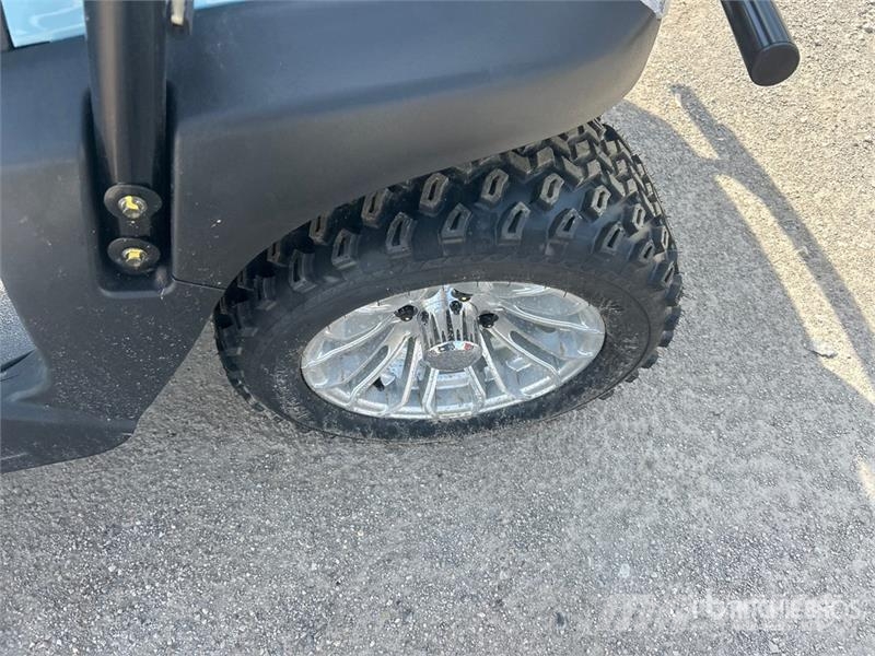 Axis EV Electric Golf Cart (Unused) Гольф-мобілі