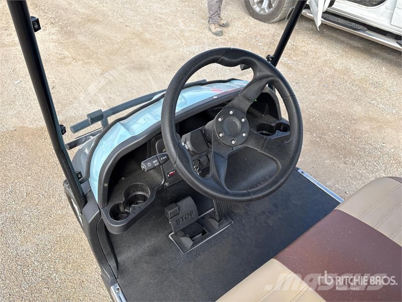 Axis EV Electric Golf Cart (Unused) 高尔夫球车