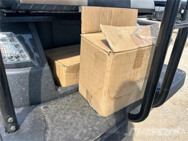Axis EV Electric Golf Cart Гольф-мобілі