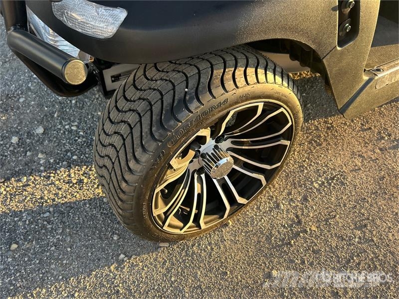 Axis EV Electric Golf Cart 高尔夫球车