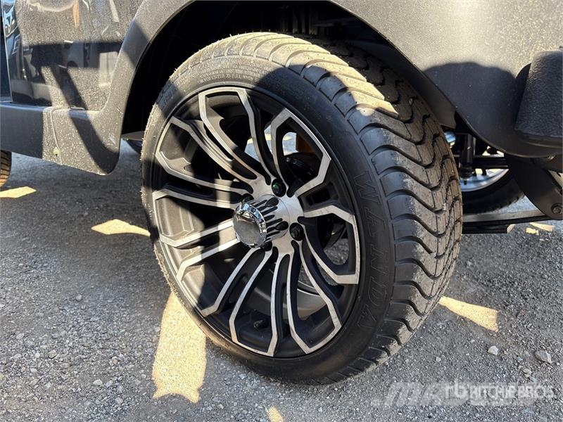Axis EV Electric Golf Cart (Unused) 高尔夫球车