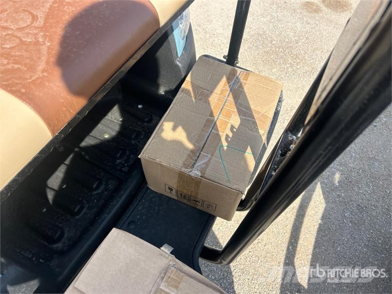 Axis EV Electric Golf Cart (Unused) Гольф-мобілі