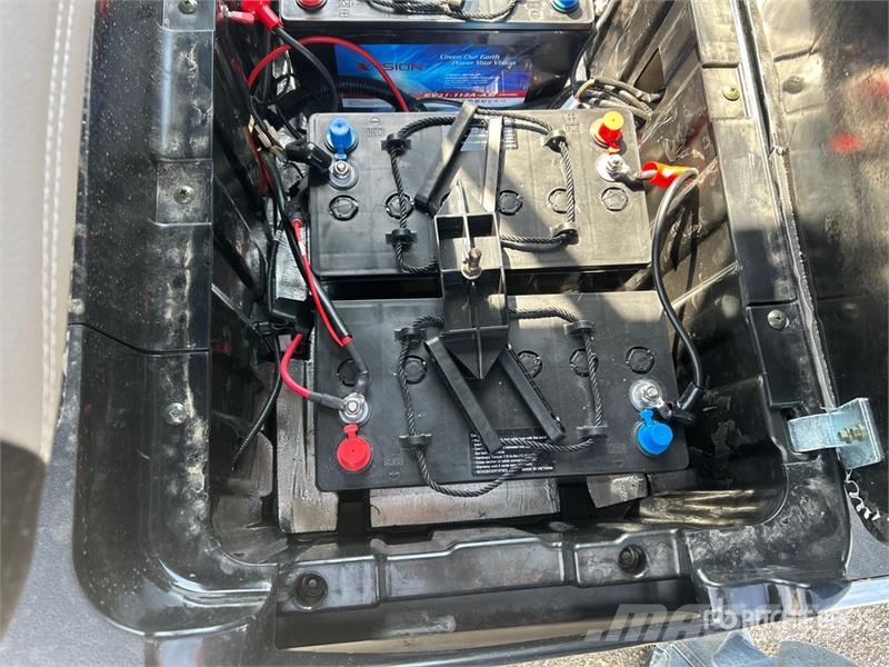 Axis EV Electric Golf Cart (Unused) Гольф-мобілі