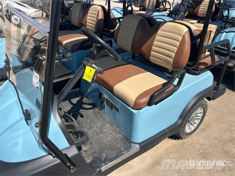  Axis EV Electric Golf Cart Golf vozila