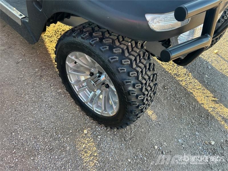 Axis EV Electric Golf Cart 高尔夫球车