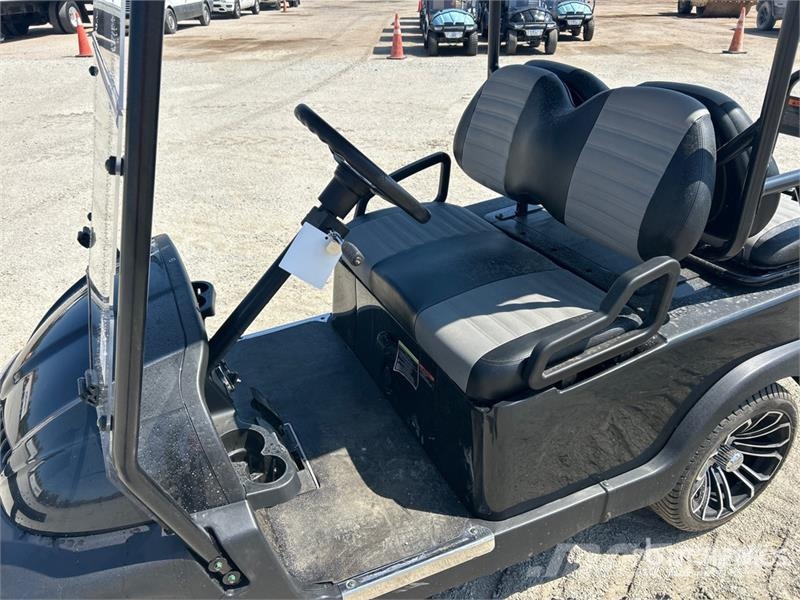 Axis EV Electric Golf Cart Golfwagen/Golfcart