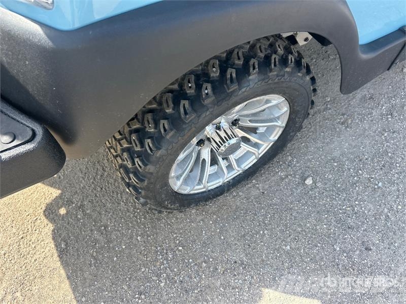 Axis EV Electric Golf Cart (Unused) Гольф-мобілі