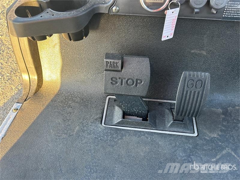 Axis EV Electric Golf Cart 高尔夫球车