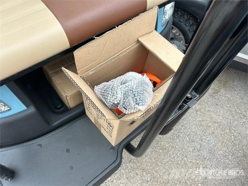 Axis EV Electric Golf Cart (Unused) 高尔夫球车