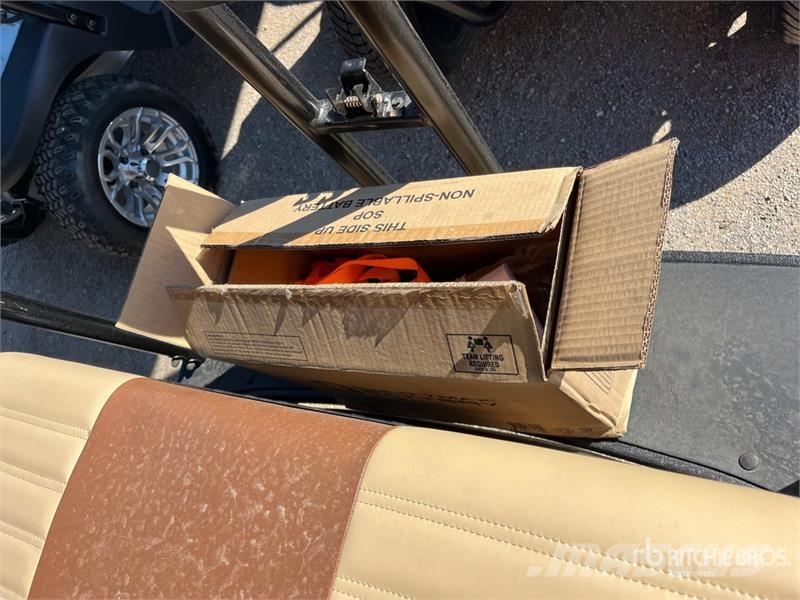 Axis EV Electric Golf Cart (Unused) 高尔夫球车