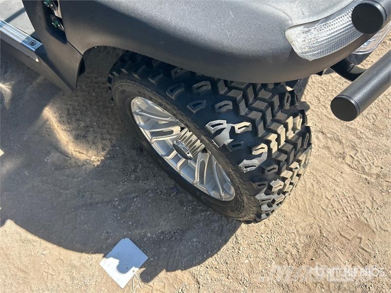 Axis EV Electric Golf Cart (Unused) Гольф-мобілі