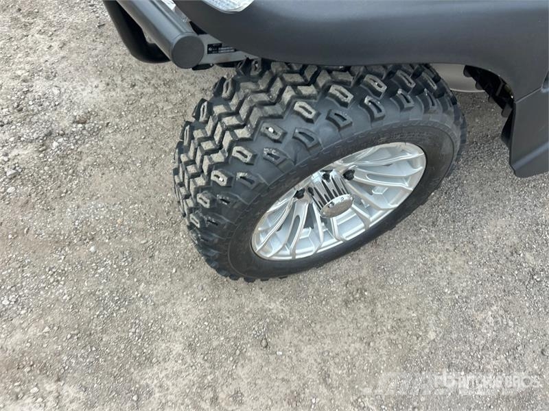 Axis EV Electric Golf Cart (Unused) 高尔夫球车