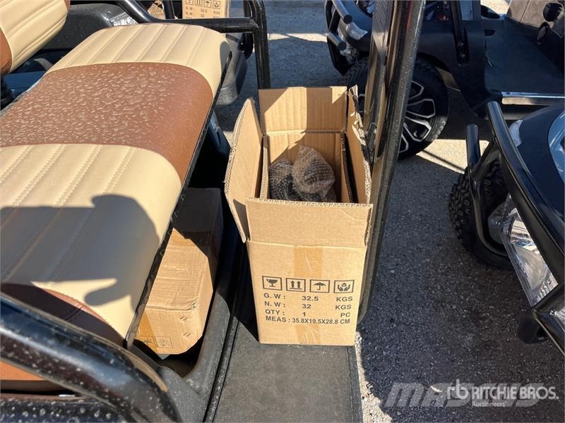 Axis EV Electric Golf Cart (Unused) 高尔夫球车
