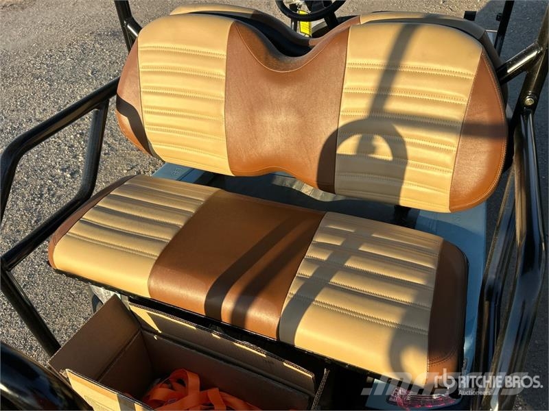 Axis EV Electric Golf Cart 高尔夫球车
