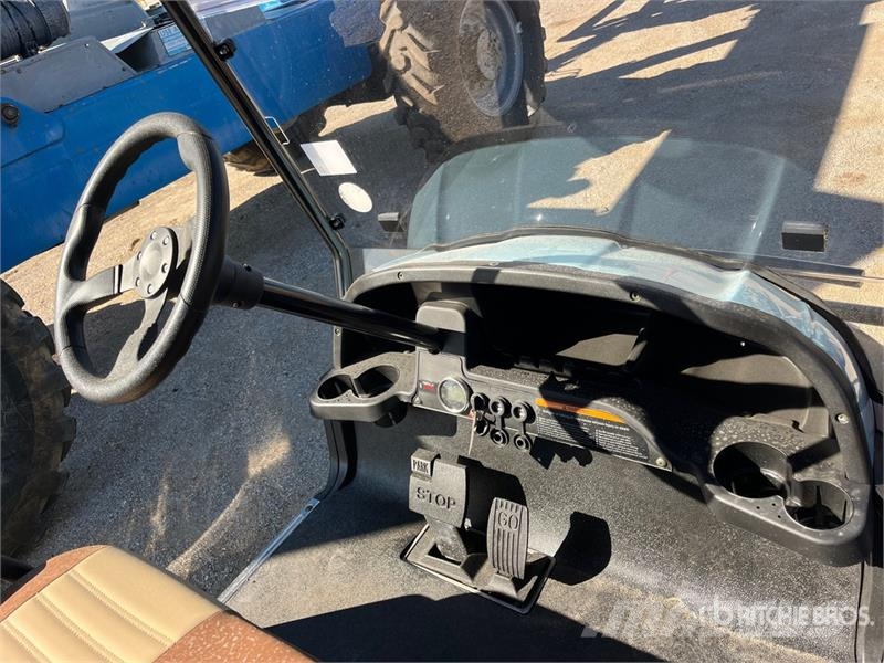 Axis EV Electric Golf Cart (Unused) 高尔夫球车