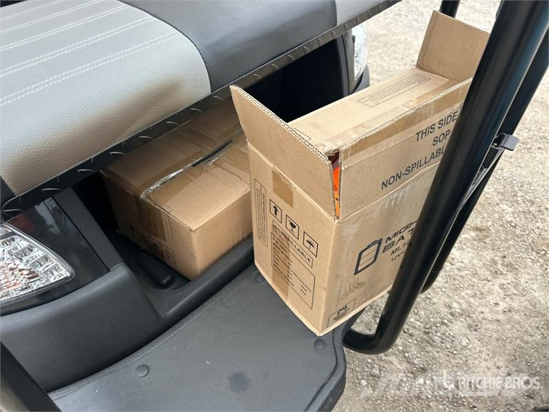 Axis EV Electric Golf Cart (Unused) 高尔夫球车