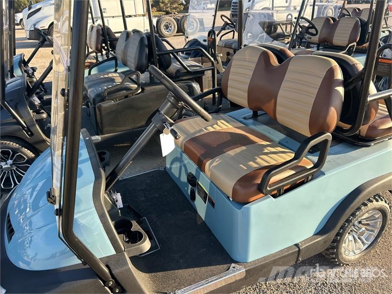 Axis EV Electric Golf Cart Golf carts