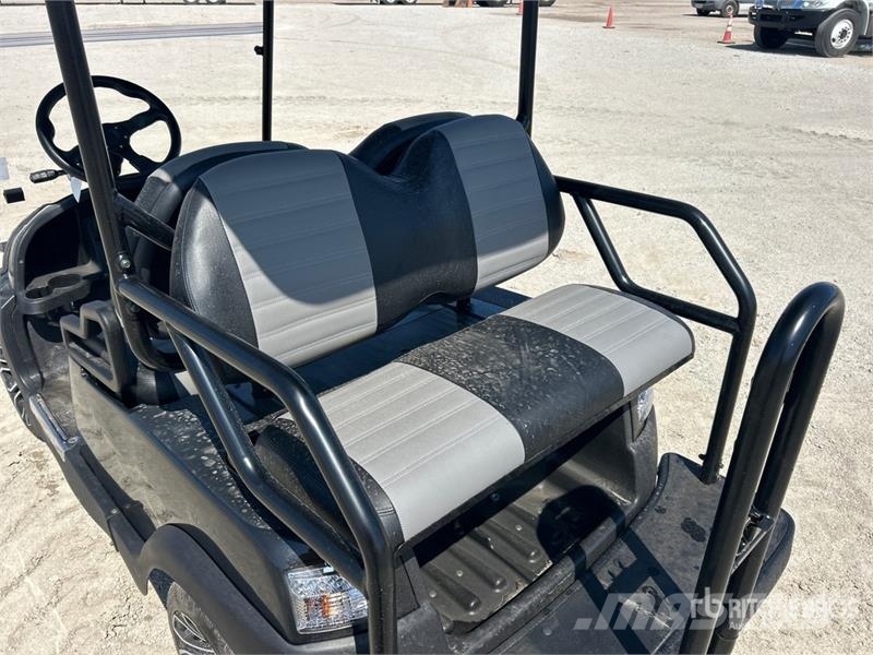 Axis EV Electric Golf Cart Golfwagen/Golfcart
