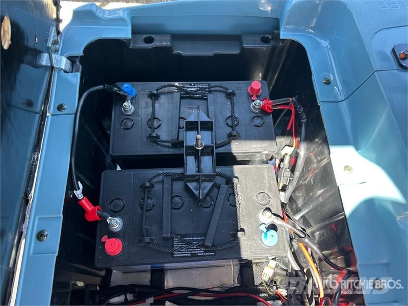Axis EV Electric Golf Cart (Unused) Гольф-мобілі