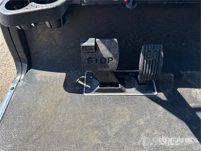  Axis EV Electric Golf Cart Golf vozila