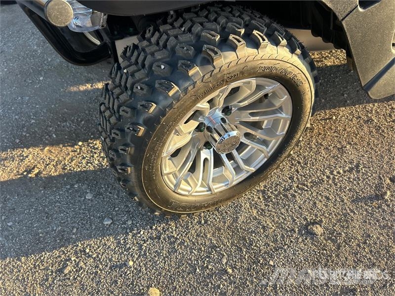 Axis EV Electric Golf Cart 高尔夫球车