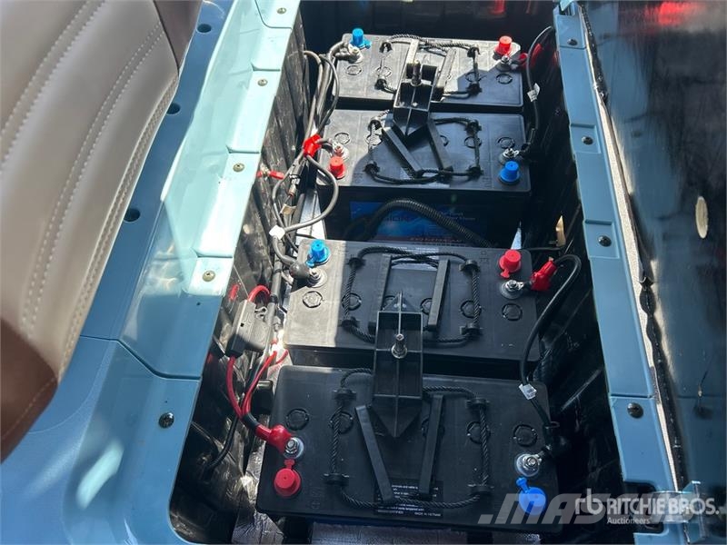 Axis EV Electric Golf Cart (Unused) Гольф-мобілі