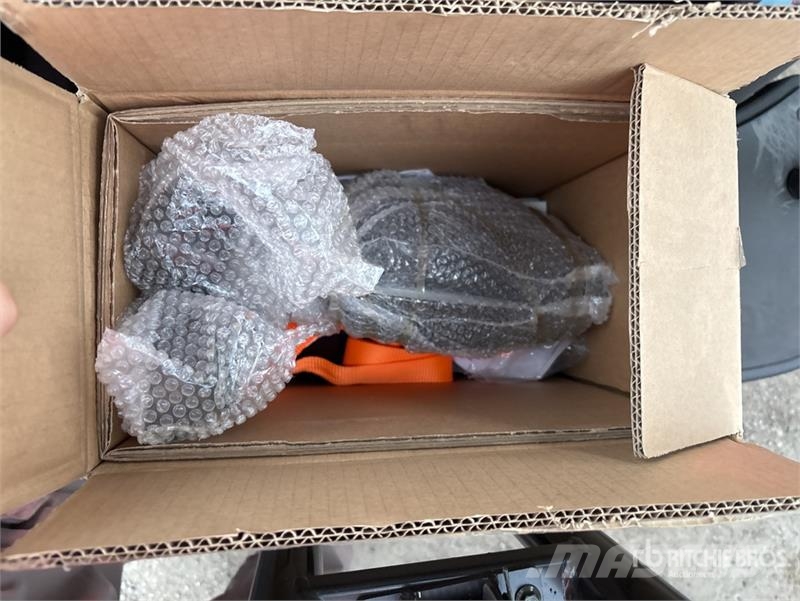 Axis EV Electric Golf Cart (Unused) 高尔夫球车