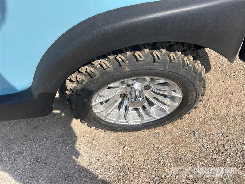 Axis EV Electric Golf Cart (Unused) Гольф-мобілі
