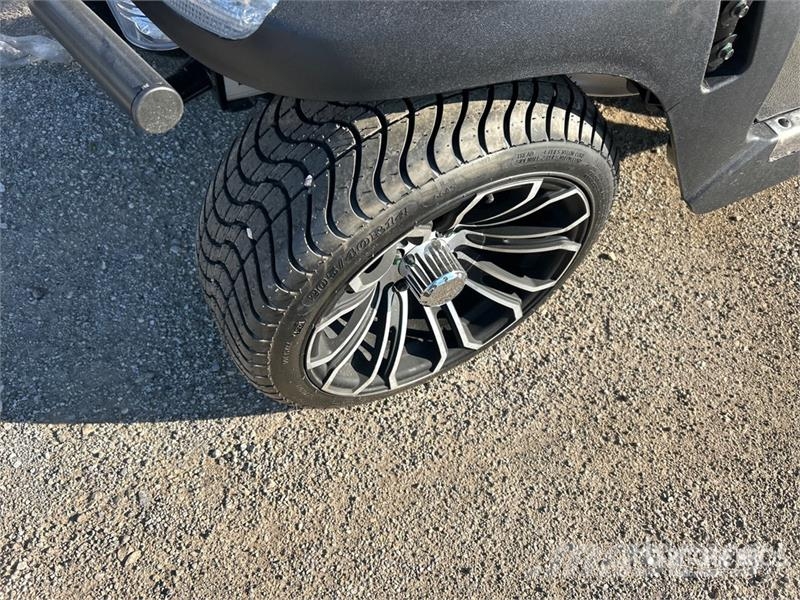 Axis EV Electric Golf Cart (Unused) 高尔夫球车