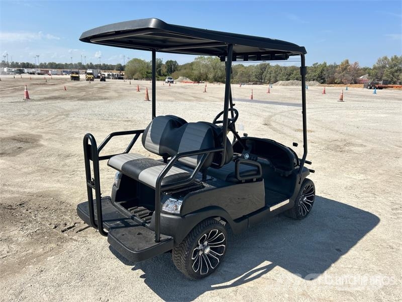 Axis EV Electric Golf Cart Golfwagen/Golfcart