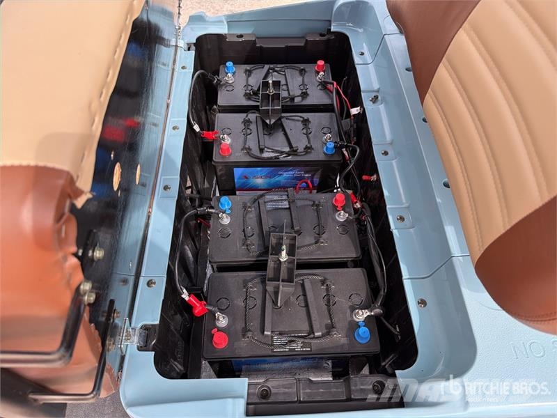 Axis EV Electric Golf Cart (Unused) Гольф-мобілі
