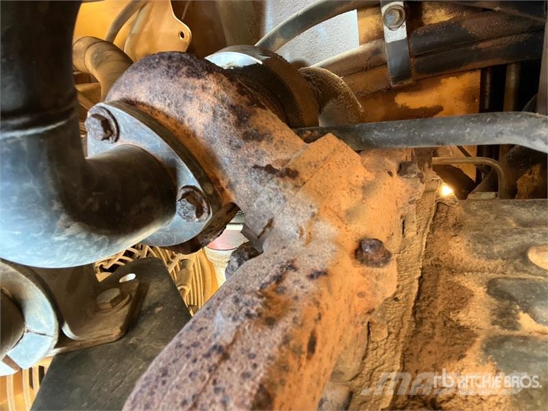 CAT 246 Mini Pale Gommate