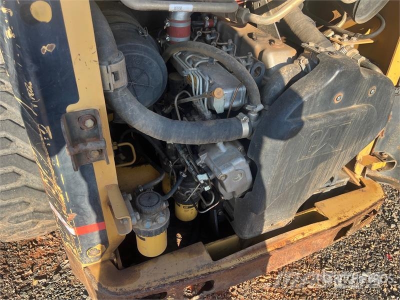 CAT 246 Mini Pale Gommate