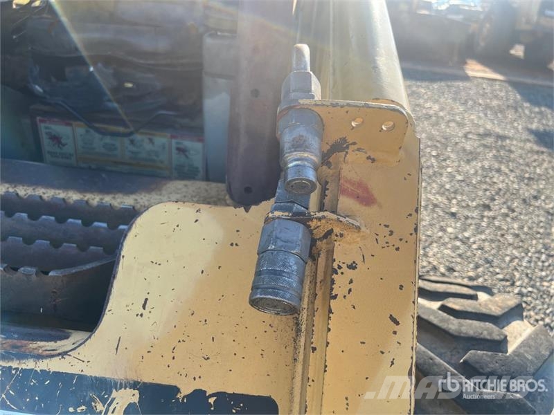 CAT 246 Mini Pale Gommate