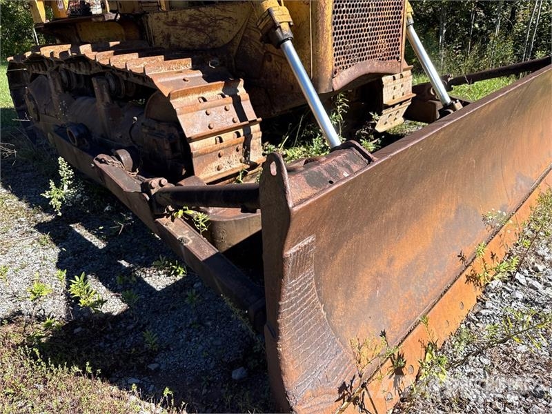 CAT D6 Crawler Dozer Pásové dozery