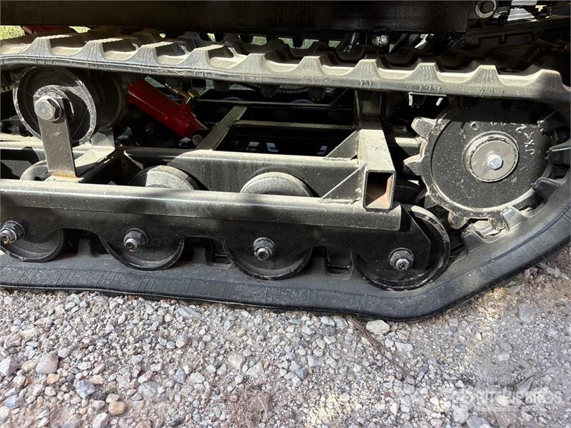 CD25,CDW25 Mini Crawler Dumper (Unused) Vehículos compactos de volteo