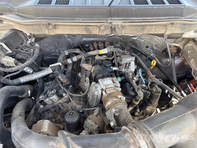 Ford F-150 4x4 Crew Cab Pickup Furgoni altro